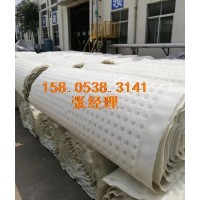 天津复合排水板/覆布排水板土工布#双层排水板